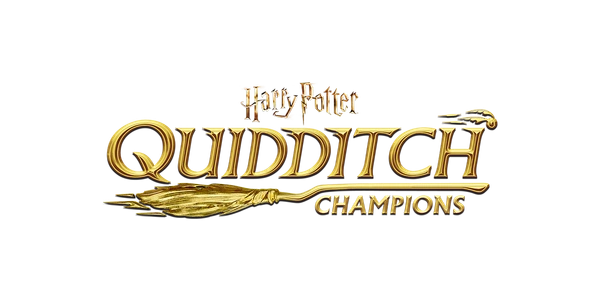 Introduction to Quidditch Champions